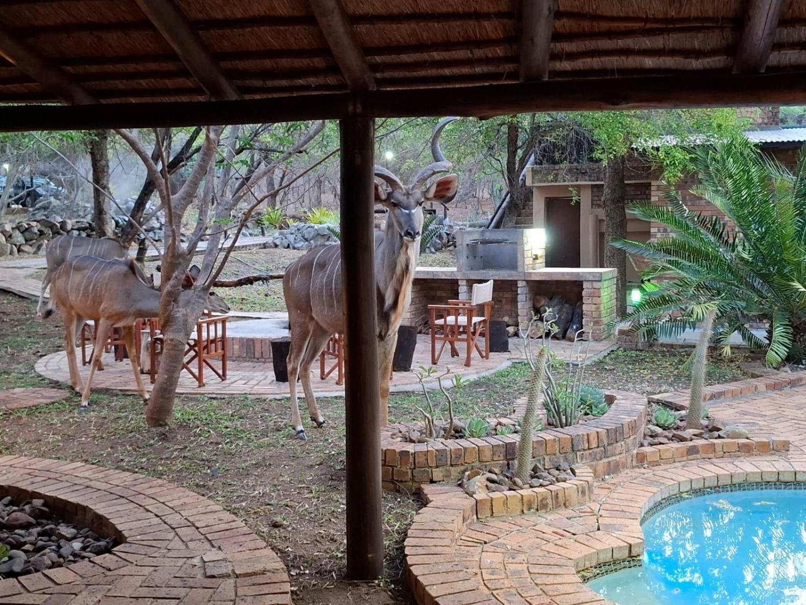 Kruger Riverside Lodge - No Load-Shedding Marloth Park Exterior photo