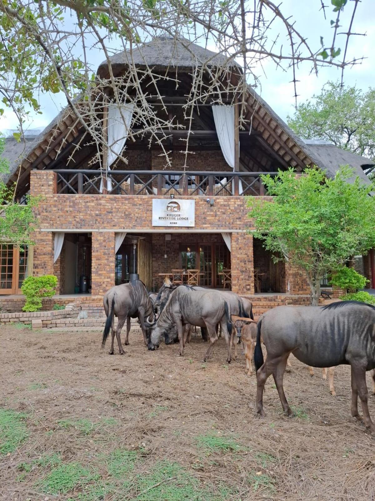 Kruger Riverside Lodge - No Load-Shedding Marloth Park Exterior photo