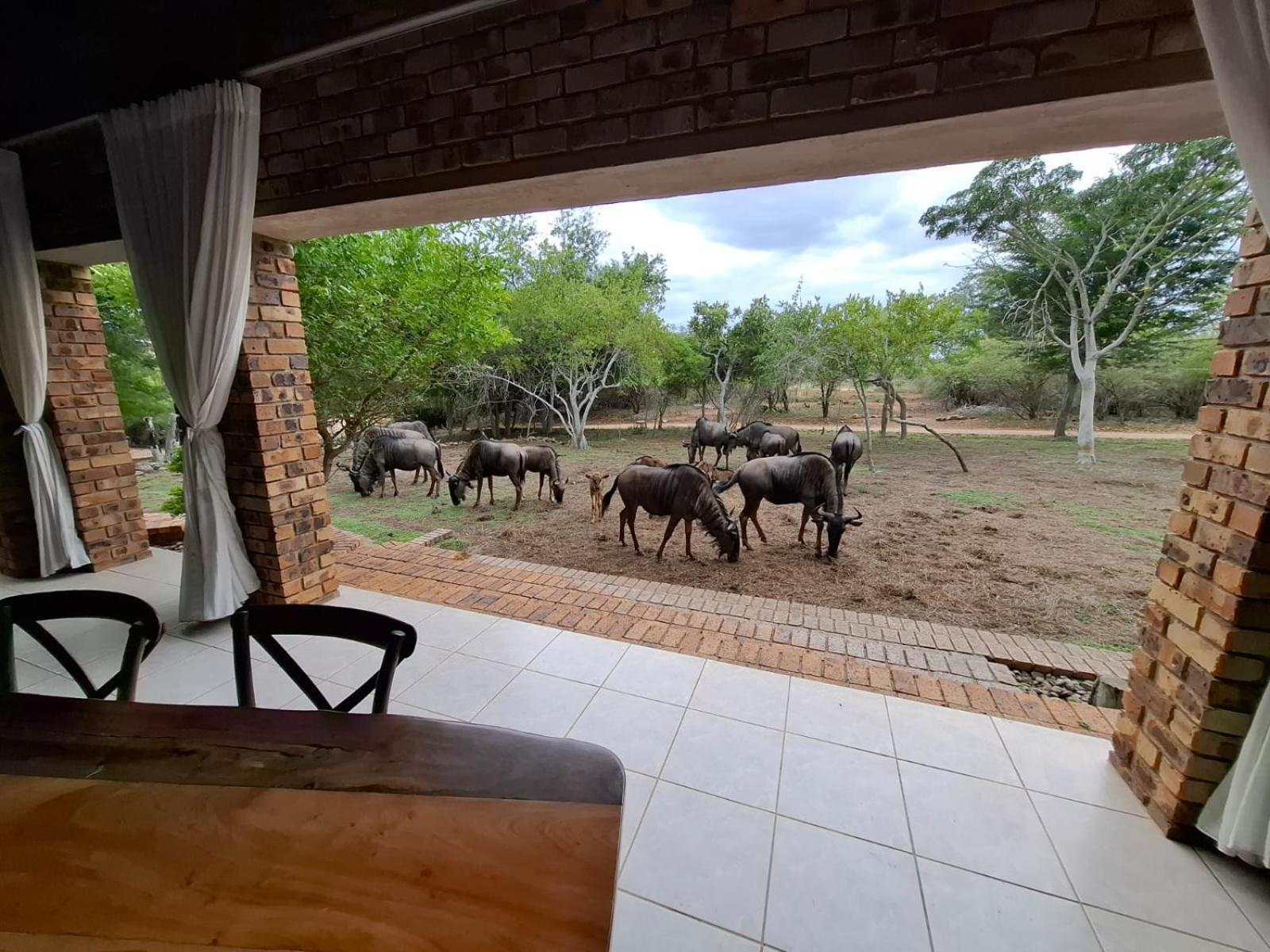 Kruger Riverside Lodge - No Load-Shedding Marloth Park Exterior photo