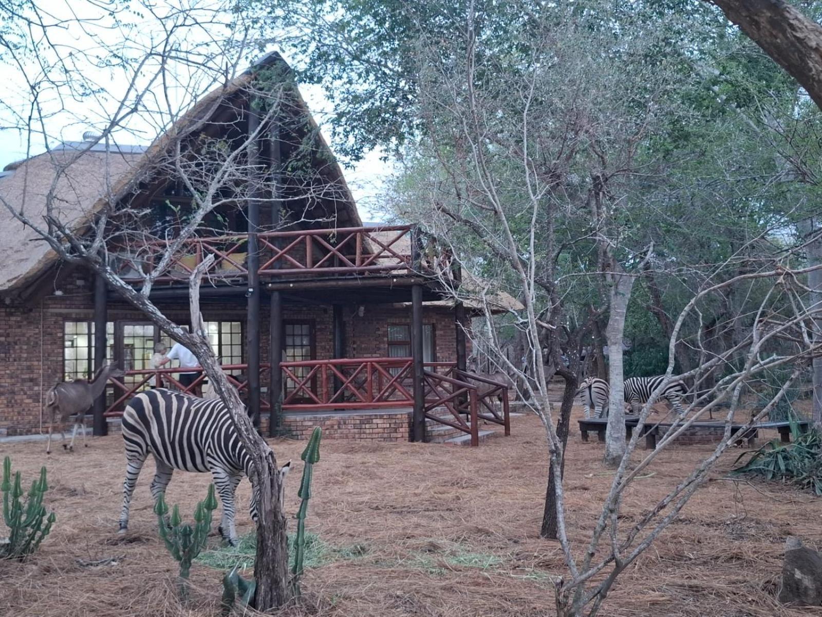 Kruger Riverside Lodge - No Load-Shedding Marloth Park Exterior photo