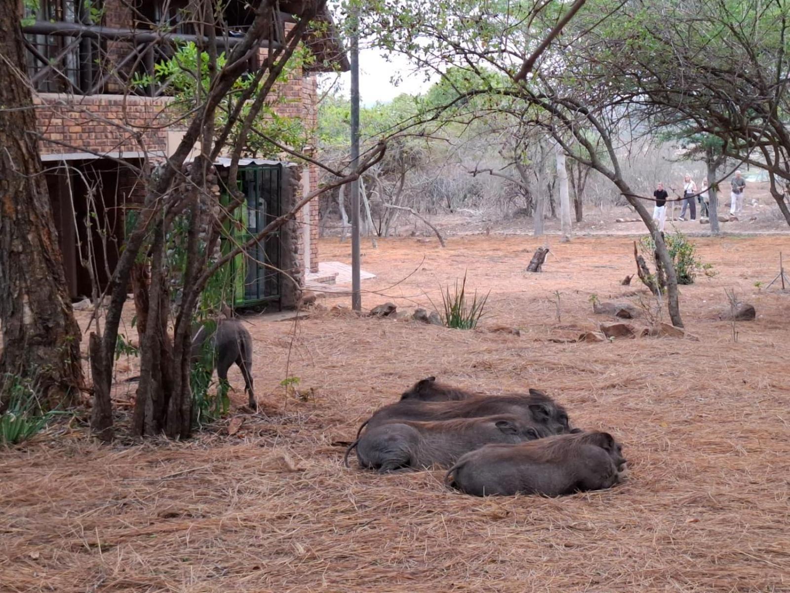 Kruger Riverside Lodge - No Load-Shedding Marloth Park Exterior photo