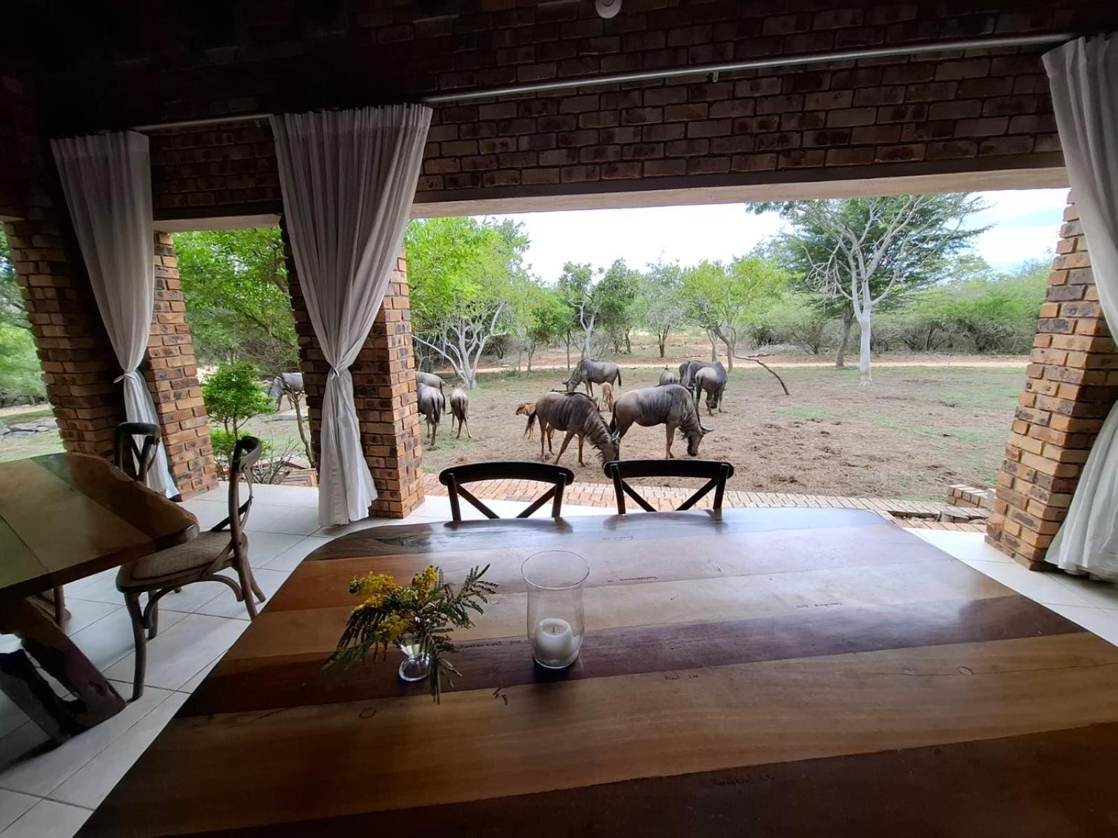 Kruger Riverside Lodge - No Load-Shedding Marloth Park Exterior photo