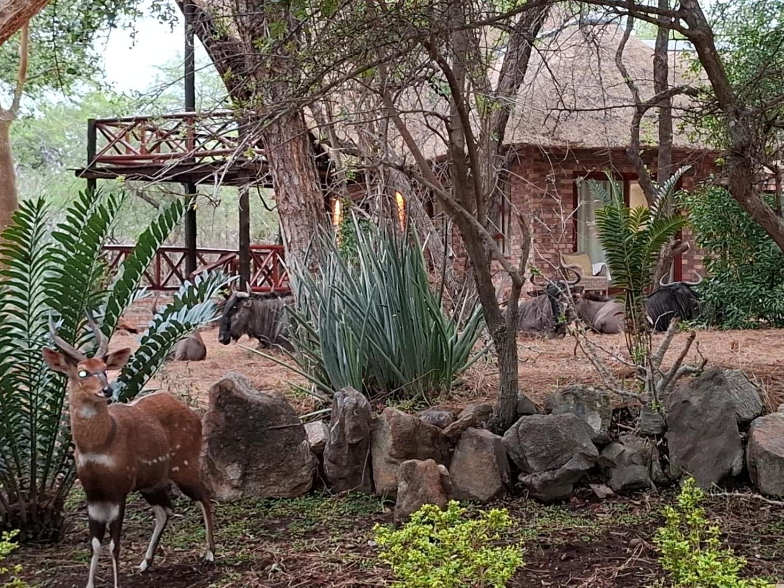 Kruger Riverside Lodge - No Load-Shedding Marloth Park Exterior photo