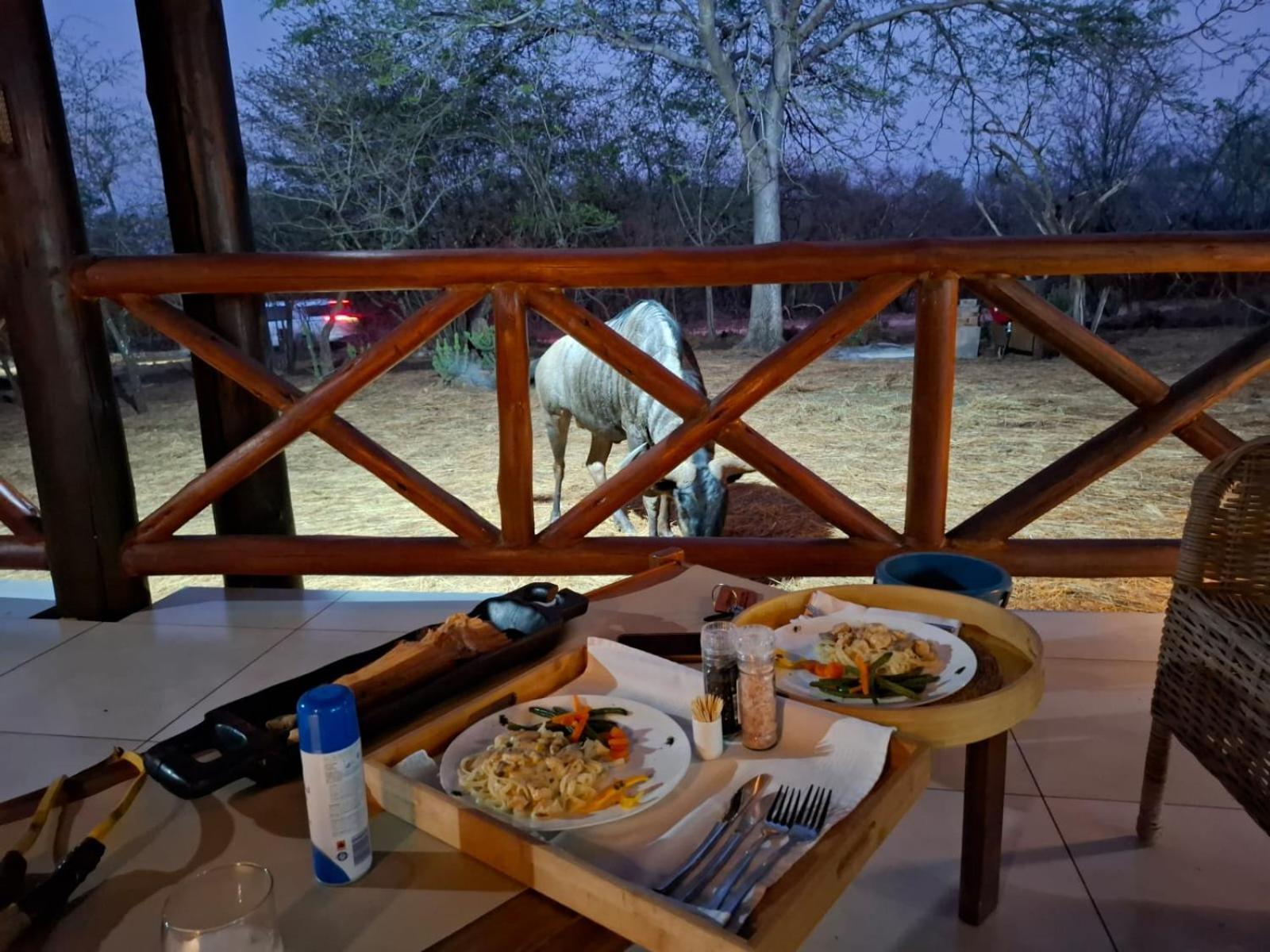 Kruger Riverside Lodge - No Load-Shedding Marloth Park Exterior photo
